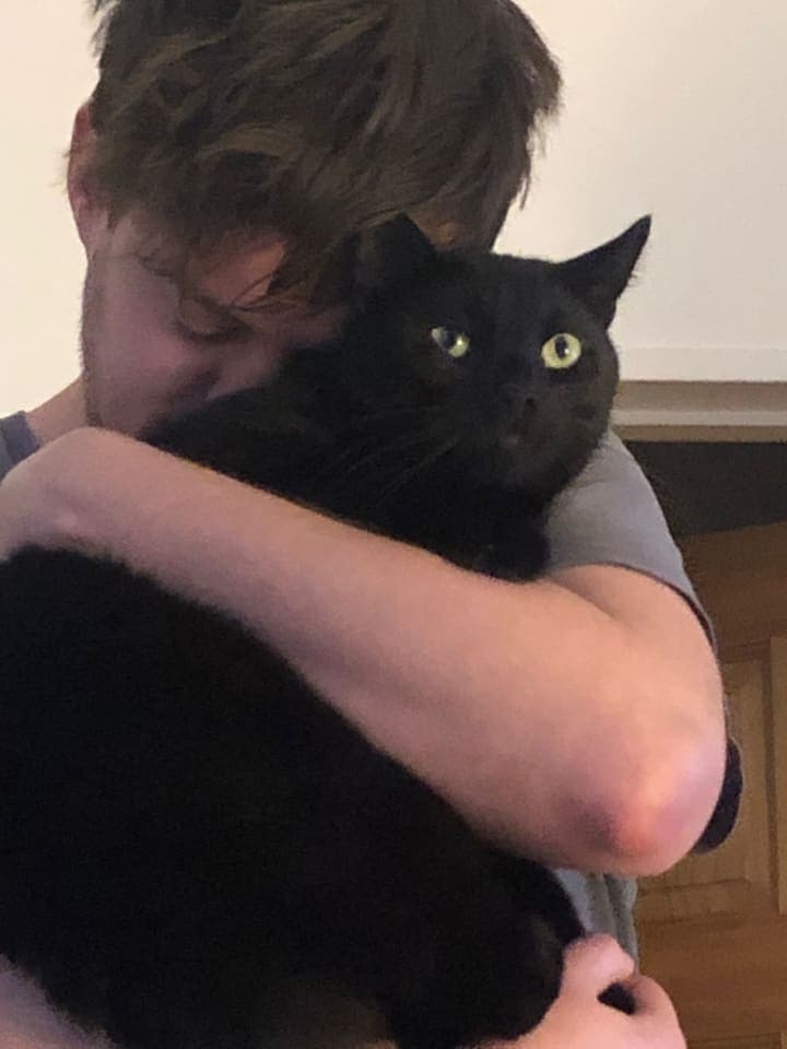 A moment in Meph's life