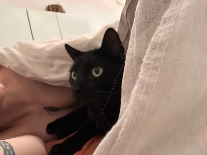 A moment in Meph's life